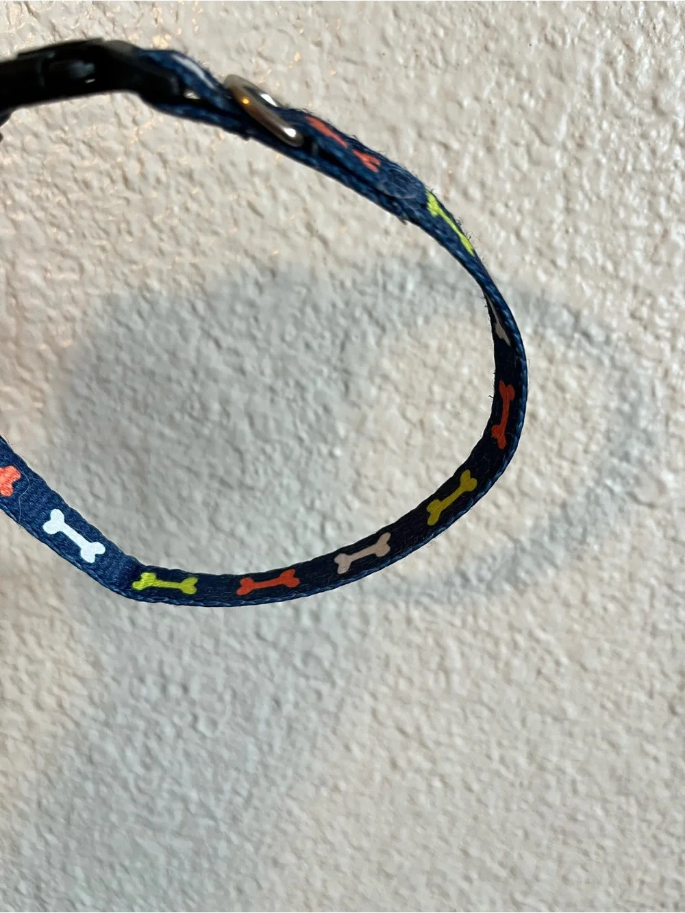 Small Dog Collar and Leash